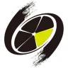 TTGO E-bike logo